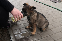 IMG_20210512_201110_1