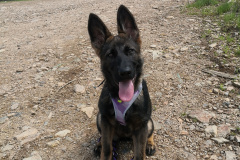 IMG_20210713_121549_1