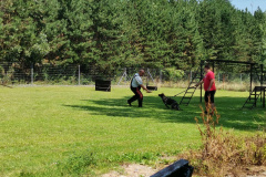 IMG_20210814_124057_BURST001_COVER