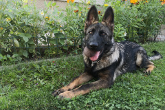 IMG_20210814_162648_1